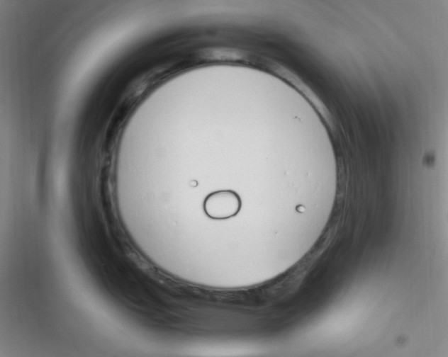 X0000116821151201001081411