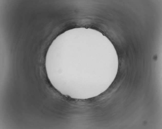 X0000116821153201001081411