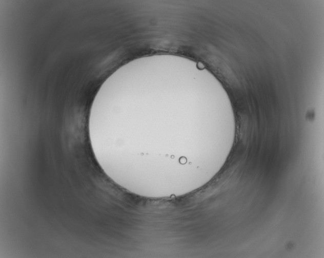 X0000116821154201001081411