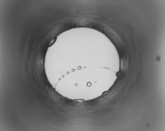 X0000116821155201001081411