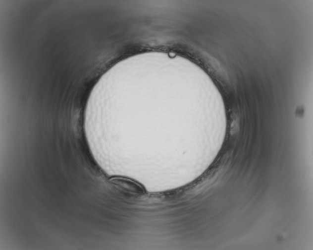 X0000116821156201001081411