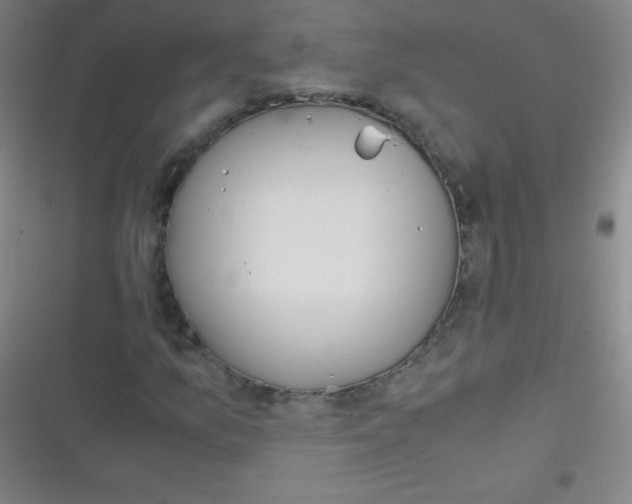 X0000116821157201001081411