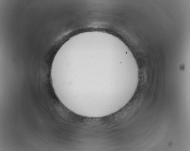 X0000116821158201001081411