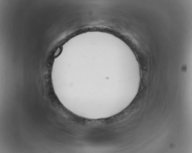 X0000116821159201001081411