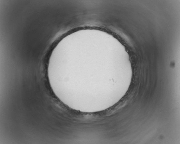 X0000116821160201001081411