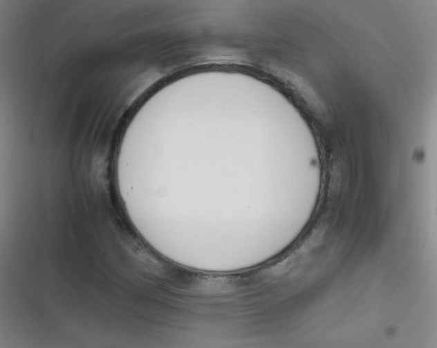 X0000116821162201001081411