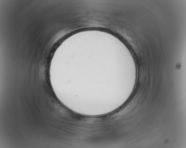 X0000116821163201001081411