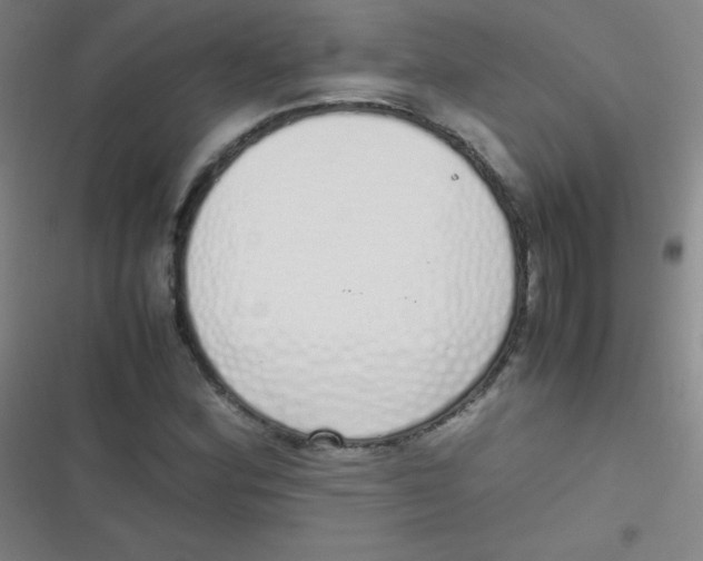 X0000116821164201001081411