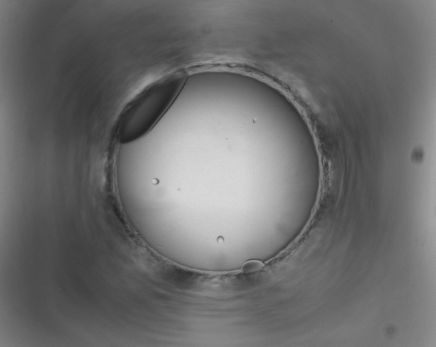 X0000116821165201001081411