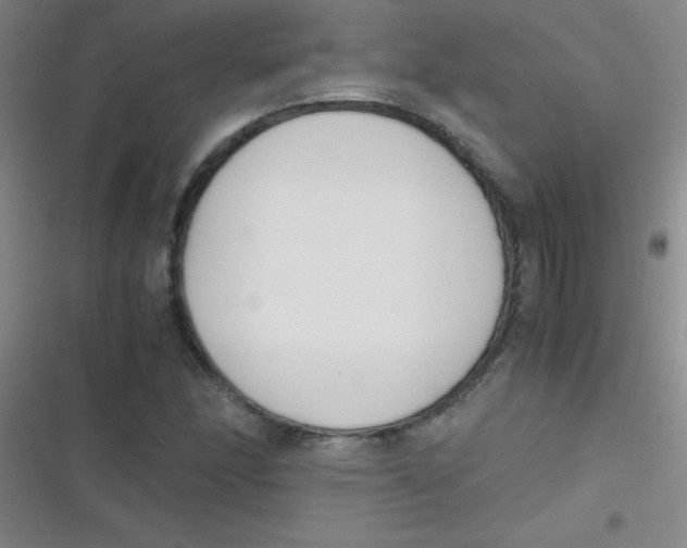 X0000116821166201001081411