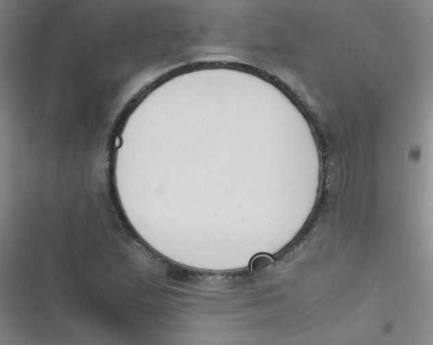 X0000116821167201001081411