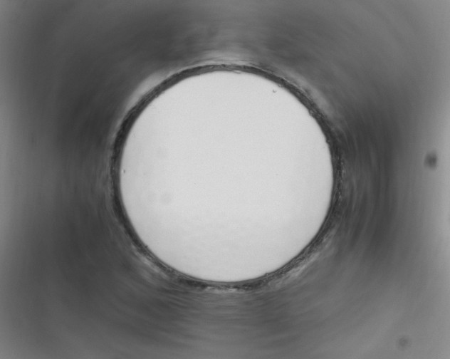 X0000116821168201001081411