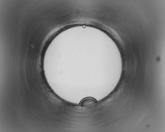 X0000116821172201001081410