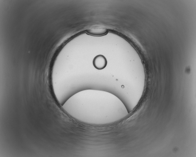 X0000116821173201001081410