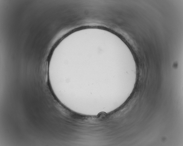 X0000116821175201001081410