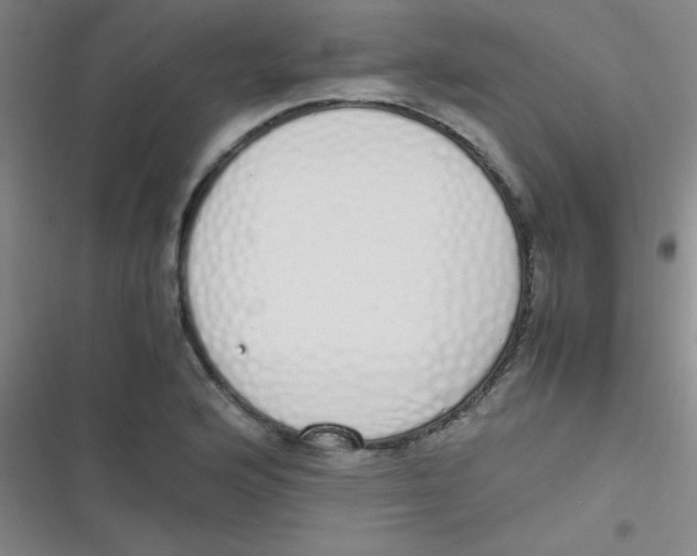 X0000116821176201001081410