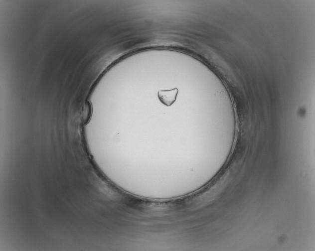 X0000116821177201001081410