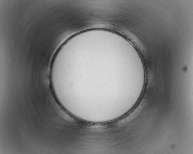 X0000116821178201001081410