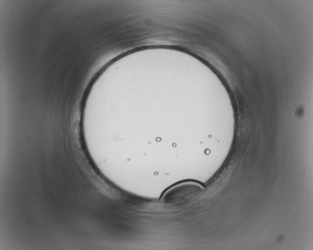 X0000116821179201001081410