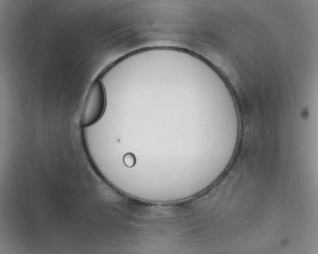 X0000116821181201001081410