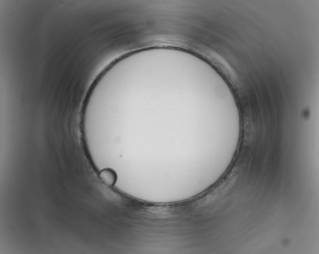 X0000116821182201001081410