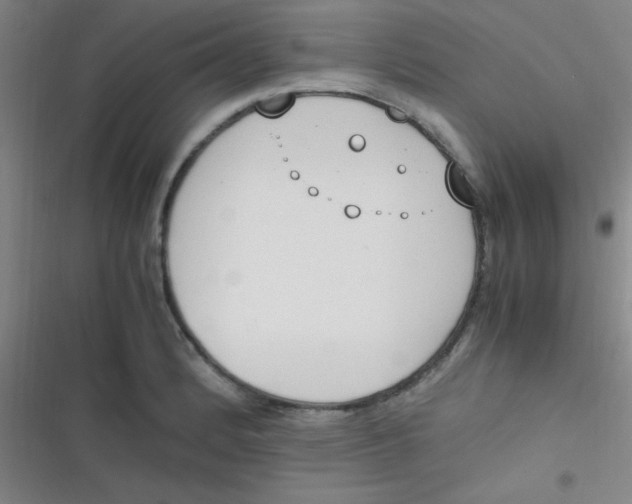 X0000116821184201001081410