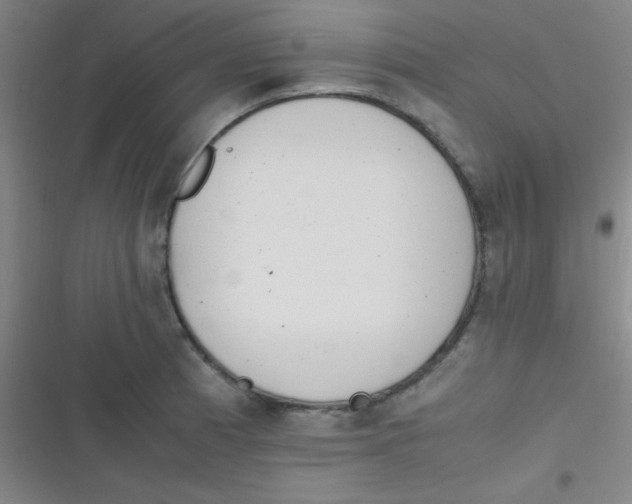 X0000116821185201001081410