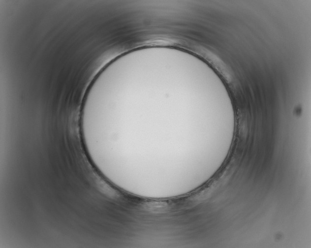 X0000116821186201001081410