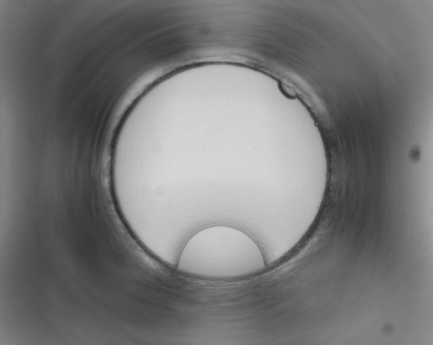 X0000116821188201001081410