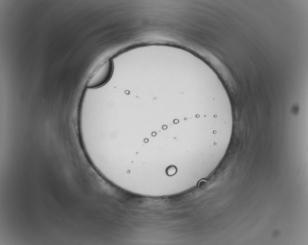 X0000116821191201001081410