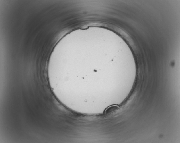 X0000116821193201001081410