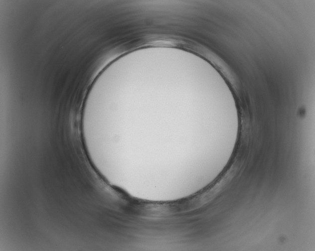 X0000116821194201001081410