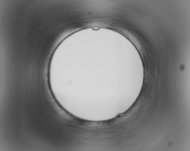 X0000116821195201001081410