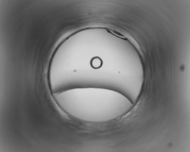 X0000116821197201001081410