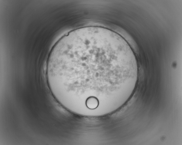 X0000116821198201001081410