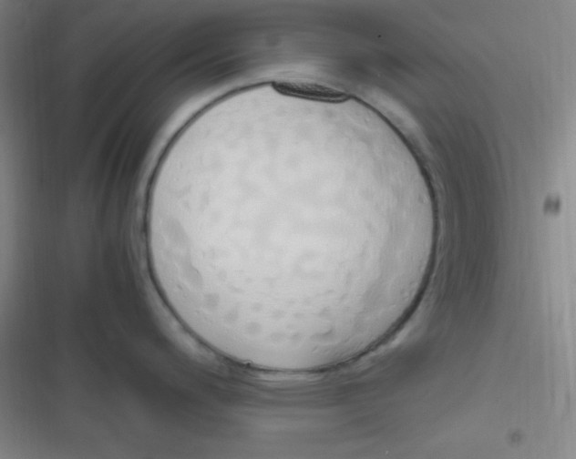 X0000116821200201001081410