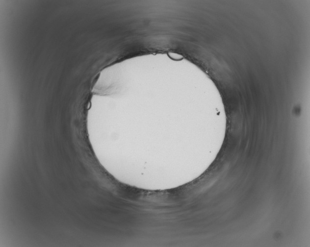 X0000116821201201001081409