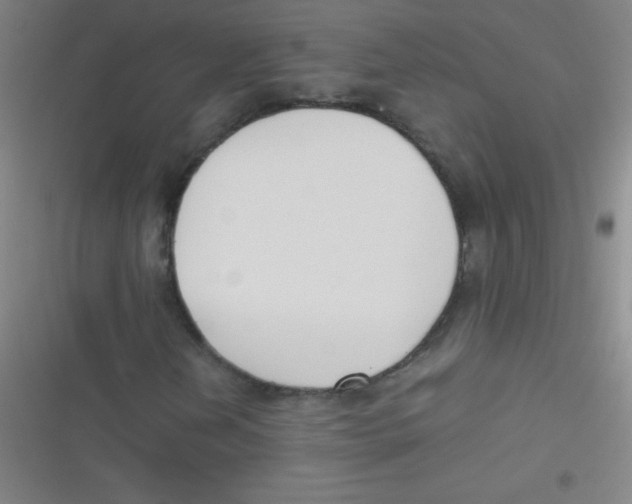 X0000116821202201001081409