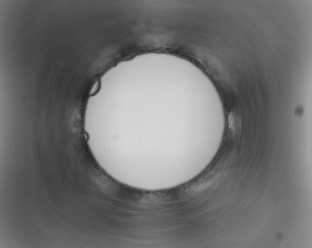 X0000116821203201001081409