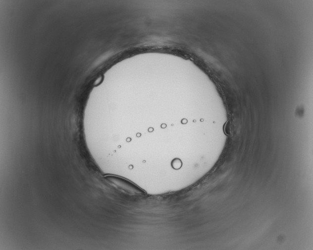 X0000116821206201001081409