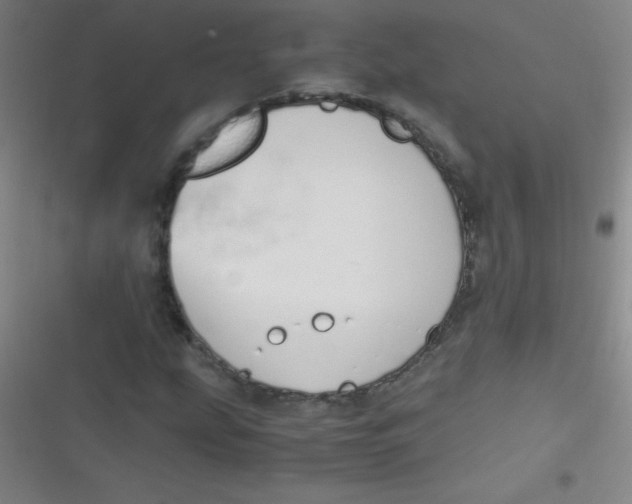 X0000116821207201001081410