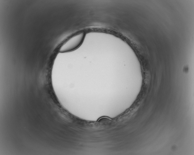 X0000116821208201001081410