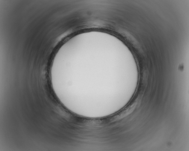 X0000116821210201001081410