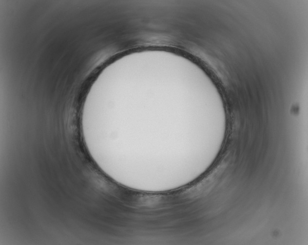 X0000116821211201001081410