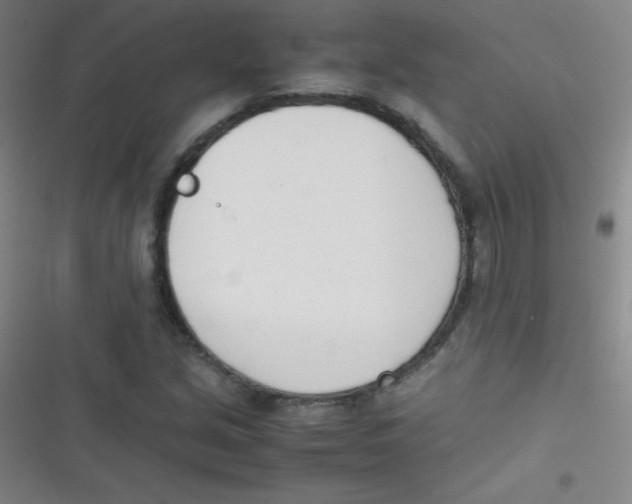 X0000116821213201001081410