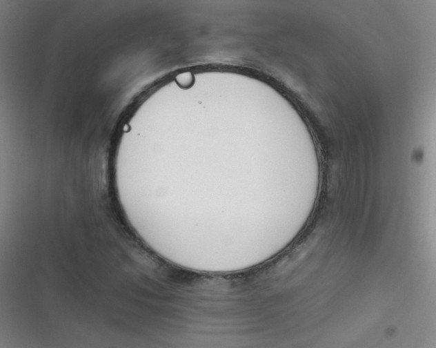 X0000116821214201001081410