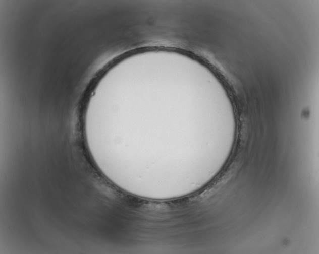 X0000116821215201001081410