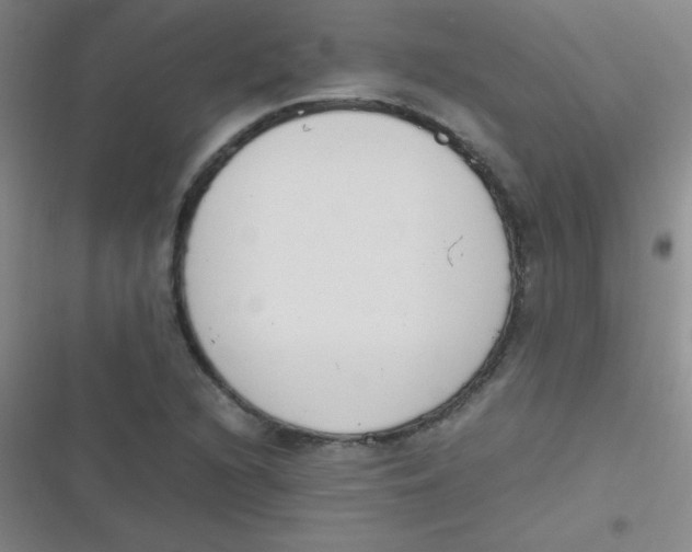 X0000116821216201001081410