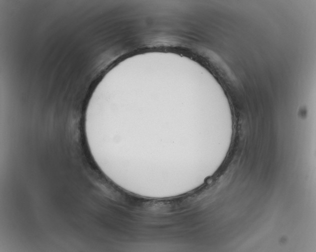 X0000116821217201001081410