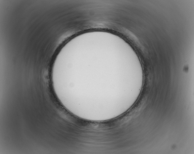 X0000116821218201001081410